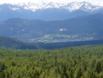 Penegal 04.jpg