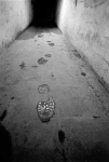 One way.jpg