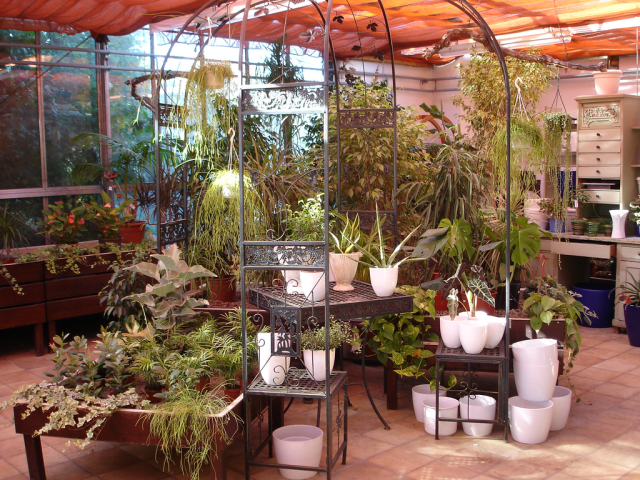 Flower shop 13
