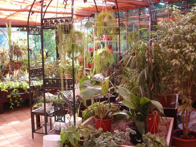Flower shop 14