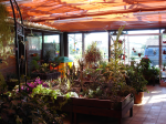 Flower shop 15