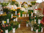 Flower shop 2