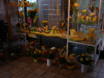 Flower shop 22