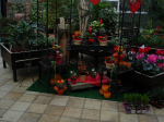Flower shop 23