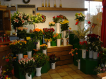 Flower shop 6