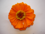 One flower 14