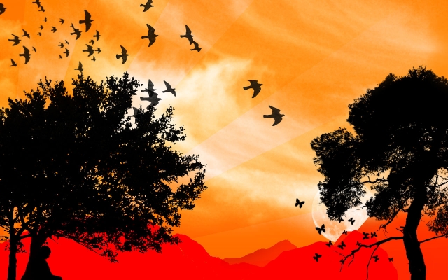 Autumn Set.jpg