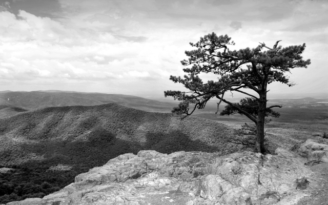 Blue ridge mountains.jpg