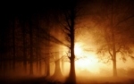 Ghost fog.jpg