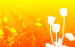 Yello Rose.jpg