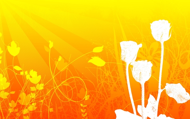 Yello Rose.jpg