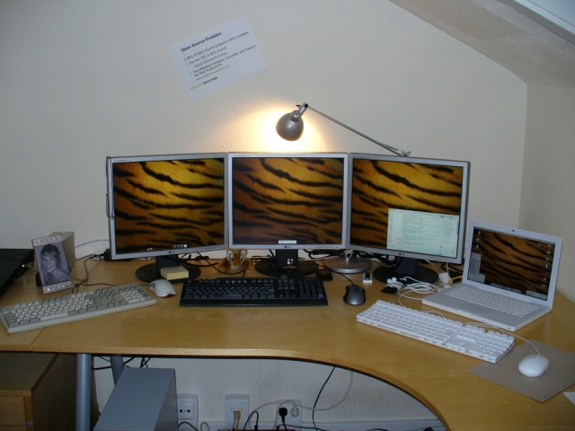 Tiger in the house 5.JPG