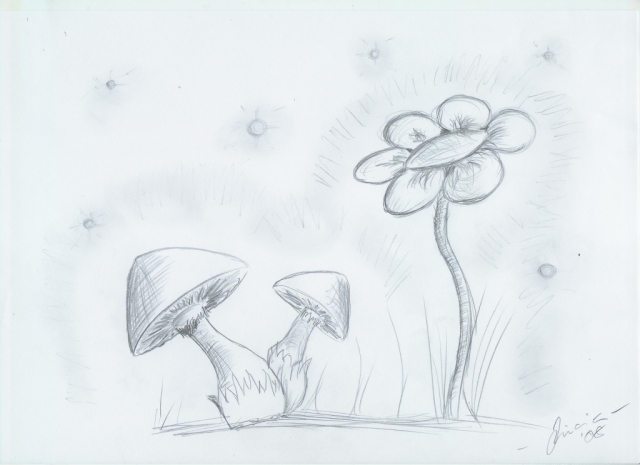 (Lucia) Flower & Fungi.jpg