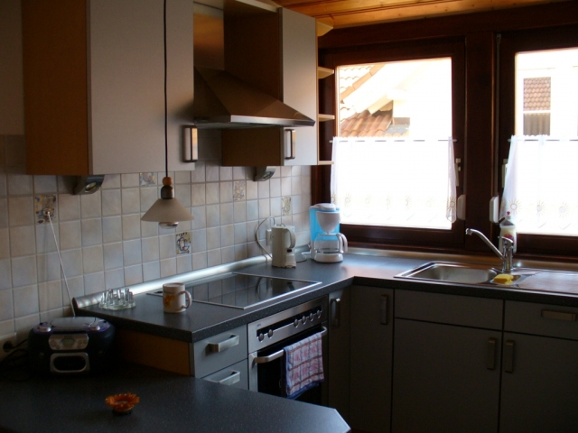 Left side of the kitchen.jpg