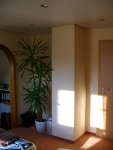 Palm tree and door.JPG