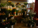 Flower shop 1