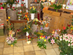 Flower shop 17