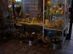 Flower shop 20