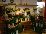 Flower shop 5