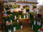 Flower shop 7