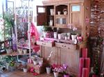 Flower shop 8