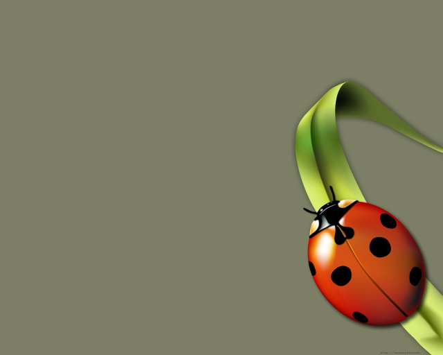 Ladybird.png